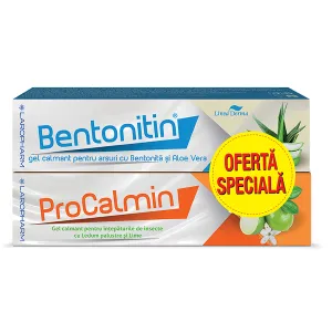 Bentonitin