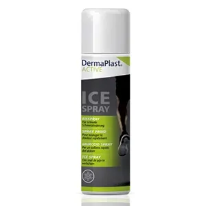 DermaPlast Active Ice spray cu efect de racire, 200 ml, Paul Hartmann