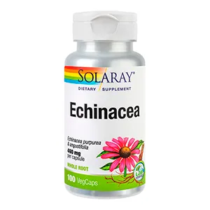 Echinacea,