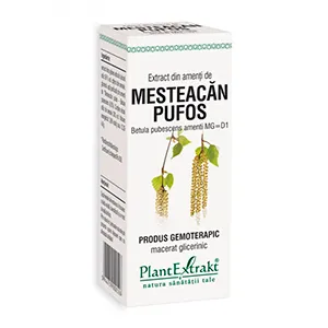 Extract din Amenti de Mesteacan Pufos, 50 ml, Plantextrakt