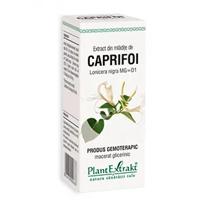 Extract din Mladite de Caprifoi, 50 ml, Plantextrakt