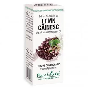 Extract din Mladite de Lemn Cainesc, 50 ml, Plantextrakt