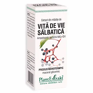 Extract din Mladite de Vita De Vie Salbatica, 50 ml, Plantextrakt