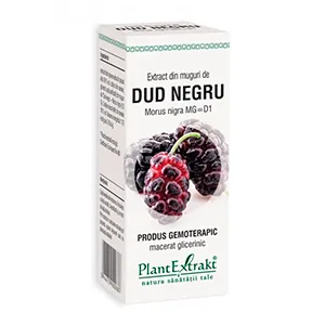 Extract din muguri de dud negru-Morus Nigra MG=D1, 50 ml, Plantextrakt
