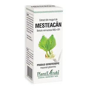 Extract din Muguri de Mesteacan, 50 ml, Plantextrakt