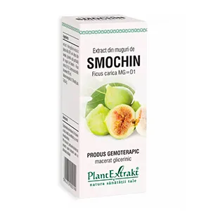Extract din muguri de smochin-Ficus Carica MG=D1, 50 ml, Plantextrakt