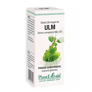 Extract din muguri de ulm-Ulmus Campestris MG=D1, 50 ml, Plantextrakt