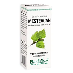 Extract din Seminte de Mesteacan, 50 ml, Plantextrakt