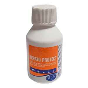 Hepato Protect soluţie orala, 1 flacon, 100 ml, Farmavet