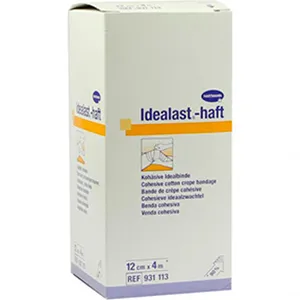 Idealast-haft