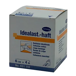 Idealast-haft