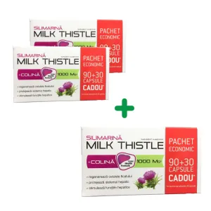 Pachet Milk Thistle Silimarina + Colina 90 capsule + 30 capsule CADOU, Natur Produkt Zdrovit