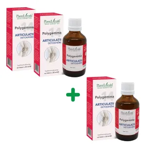 3 LA PREt DE 2 - Pachet Polygemma Nr. 14, Articulatii Detoxifiere, 50 ml, Plantextrakt