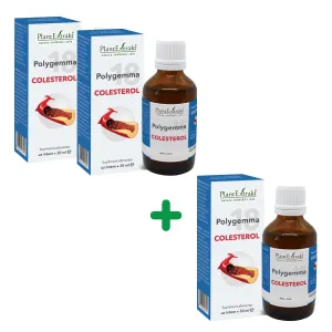 3 LA PREt DE 2 - Pachet Polygemma Nr. 18, Colesterol, 50 ml, Plantextrakt