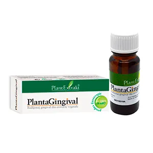 Plantagingival, 10 ml, Plantextrakt