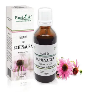 Tinctura de Echinacea- Echinacea TM, 50 ml, Plantextrakt